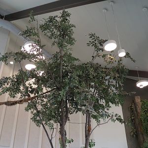 Bugarium - Leaf Cutter Ant Exhibit Tree