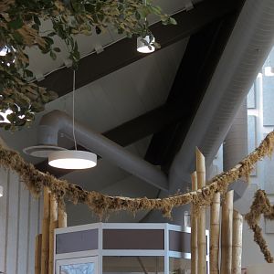 Bugarium - Leaf Cutter Ant Exhibit Tree