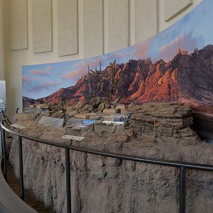 Bugarium - Chihuahuan Desert Exhibits Overview