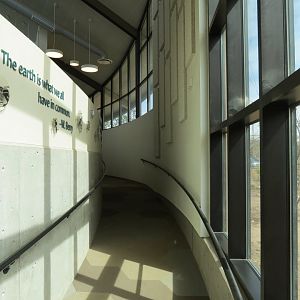 Bugarium - Ramp Between Lower and Upper Levels