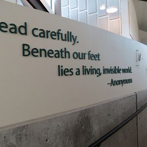 Bugarium - Ramp Between Lower and Upper Levels