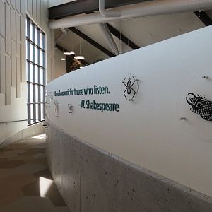 Bugarium - Ramp Between Lower and Upper Levels