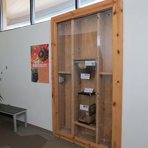 Bugarium - Honey Bee and Paper Wasp Exhibits