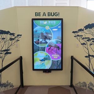 Bugarium - Be A Bug Interactive Screen