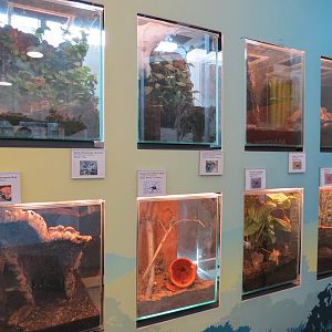 Bugarium - 8 Various Species Exhibits