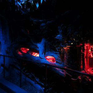 Bugarium - Night In The Jungle - 7 Exhibits