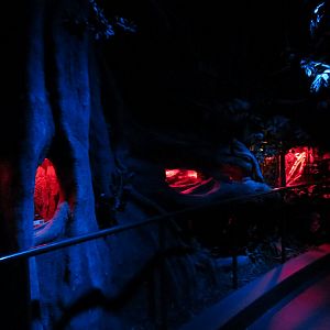 Bugarium - Night In The Jungle - 7 Exhibits