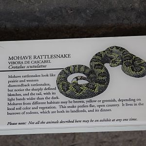 Mojave Rattlesnake Signage