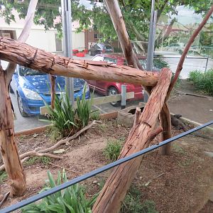 Outdoor Monitor Exhibit