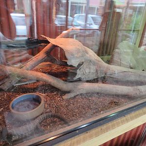 Juvenile Monitor Exhibit