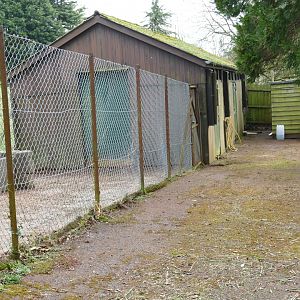 Old Anoa house, March 2018