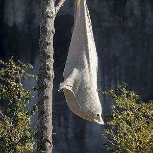 You ain't seen me, right! - 19/03/2018