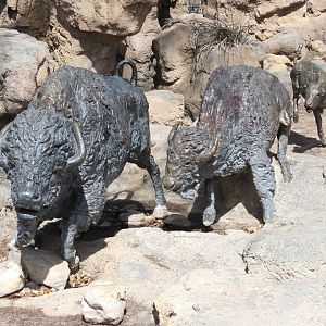 Bison Sculpture