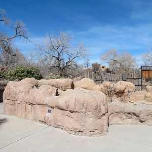 Black-tailed Prairie Dog Exhibit