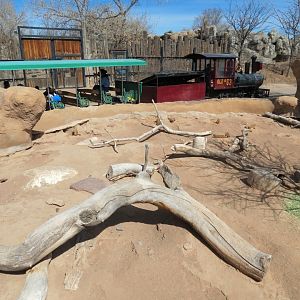 Black-tailed Prairie Dog Exhibit