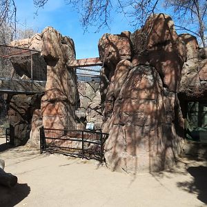Catwalk - Mountain Lion Exhibit