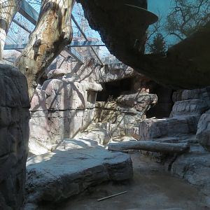 Catwalk - Mountain Lion Exhibit