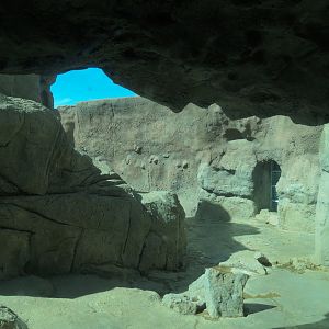 Inukshuk Bay - Cave View of Polar Bear Exhibit