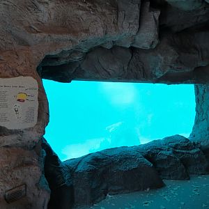 Inukshuk Bay - Cave View of Polar Bear Exhibit Underwater Area