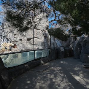 Inukshuk Bay - Polar Bear Exhibit Viewing Area
