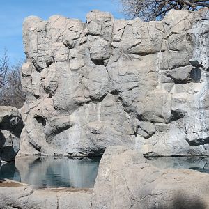 Inukshuk Bay - Polar Bear Exhibit