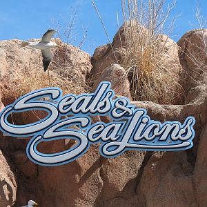 Seals & Sea Lions - Sign