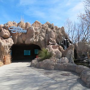 Seals & Sea Lions - Exterior