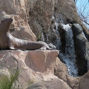 Seals & Sea Lions - Sea Lion Sculpture