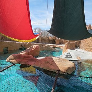 Seals & Sea Lions - Abovewater View of Exhibit