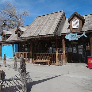 Seals & Sea Lions - Seaside-themed Shack