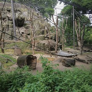 Long-tailed Macaque Exhibit