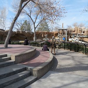 Ape Walk - Viewing Area of Western Lowland Gorilla Exhibit 1