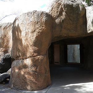 Ape Walk - Visitor Viewing Cave of Both Gorilla Exhibits