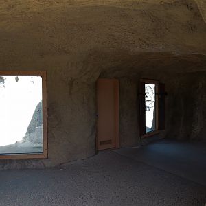 Ape Walk - Visitor Viewing Cave of Both Gorilla Exhibits
