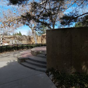 Ape Walk - Viewing Area of Western Lowland Gorilla Exhibit 2