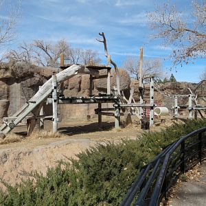 Ape Walk - Western Lowland Gorilla Exhibit 2