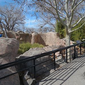 Ape Walk - Viewing Area of Orangutan Exhibit
