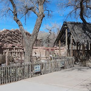 Asian Elephant Exhibit - Viewing Area