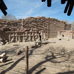 Asian Elephant Exhibit