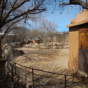 Africa - Reticulated Giraffe Exhibit