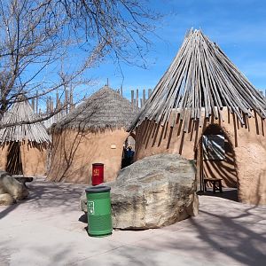Africa - Reticulated Giraffe Exhibit Viewing Area