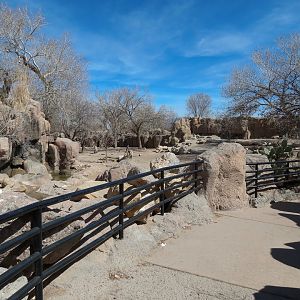 Africa - Hartmann's Mountain Zebra Exhibit Viewing Area