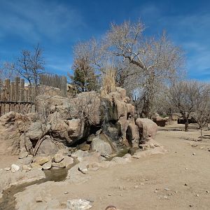 Africa - Hartmann's Mountain Zebra Exhibit