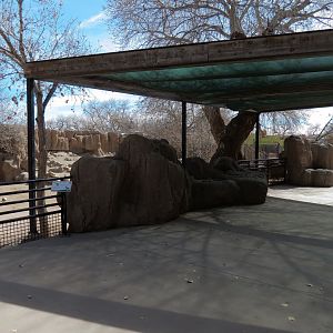 Africa - Hartmann's Mountain Zebra Exhibit Viewing Area