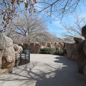 Africa - Hartmann's Mountain Zebra Exhibit Viewing Area