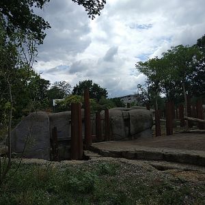 African Elephant exhibit