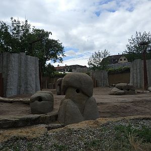African Elephant feeding stations