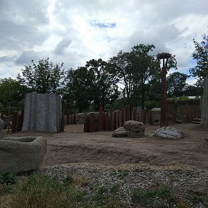 African Elephant exhibit