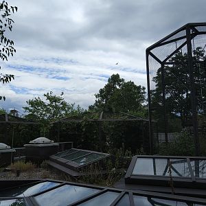 Monkey House outdoor exhibits