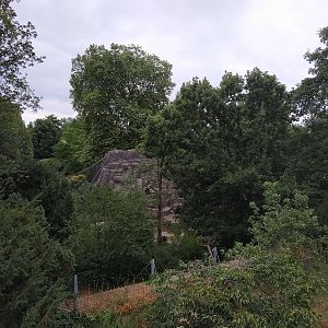 Long-tailed Macaque enclosure